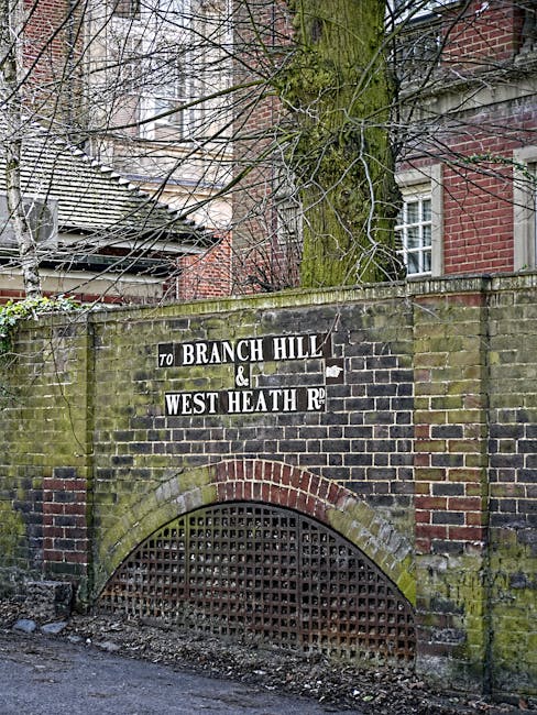 A quiet residential street in West Hampstead with multi-story brick buildings on the left, some with white-framed windows and small front gardens enclosed by black metal railings. The narrow road has a double yellow line along the curb, and a few parked cars are visible in the distance. On the right, a paved sidewalk runs alongside a high brick wall covered with dense green ivy, with trees and bushes beyond. The street is illuminated by natural daylight, with a bright sky overhead and shadows cast by the trees and buildings. This setting illustrates typical urban surroundings suitable for house removals or home relocation activities involving packing, furniture transport, and loading processes, as handled by companies like [COMPANY_NAME].